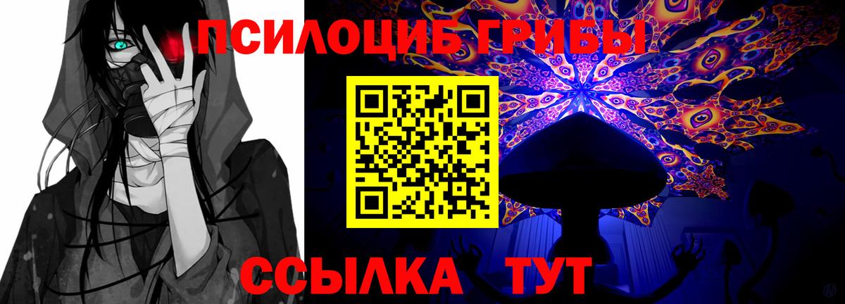 Псилоцибиновые грибы Psilocybine cubensis Королёв